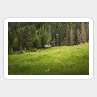 Picturesque Carpathians Scene Sticker